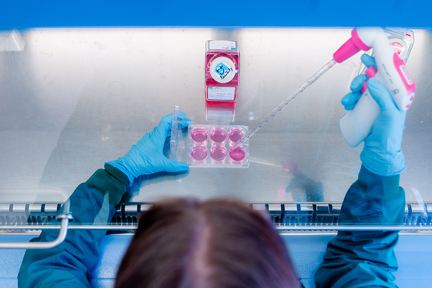Researcher working in biosafety cabinet